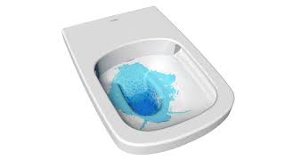 Duravit Rimless® funny toilet review