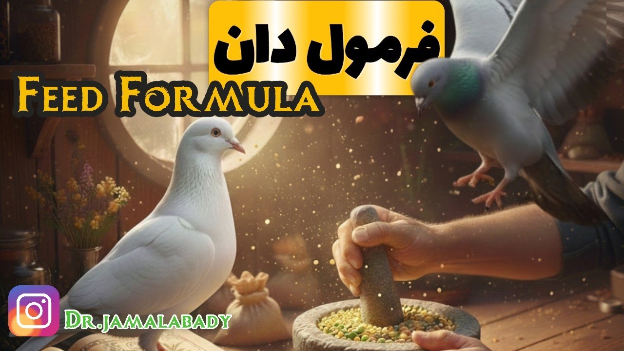 فرمول دان ،همراه با دکتر جمال‌آبادی ، feed formula 
