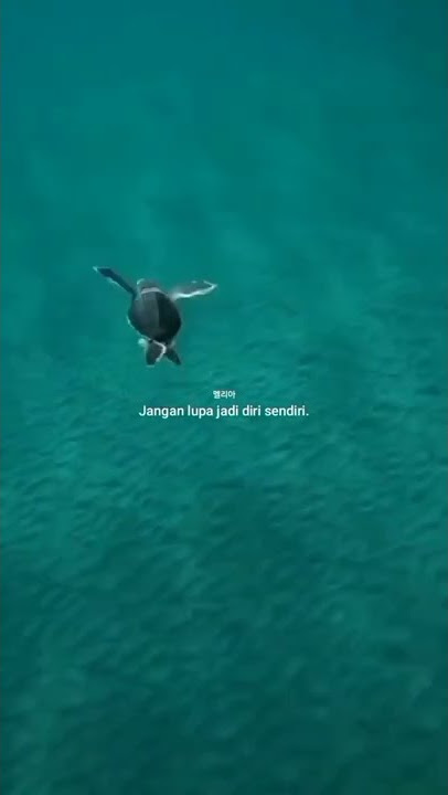 STORY WA GALAU || STORY WA 30 DETIK KEREN #STORY #Instagram #SADBOY #Motivasi hari ini #Naruto