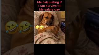 Mid-Month Financial Crisis #shorts #memes #pov #funny #relatable #viral #9to5life #comedy #humor