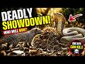 King Cobra vs Every Other Snake | The Difference Is Shocking