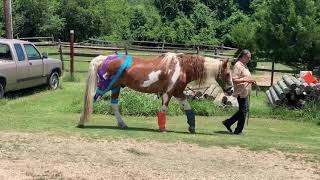 Before and After an Application screenshot 4