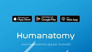 Humanatomy App Promo | Muscles et os en 3D | Application d'anatomie Android, iOS et web