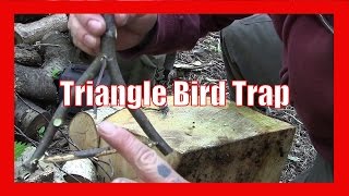 Triangle bird trap