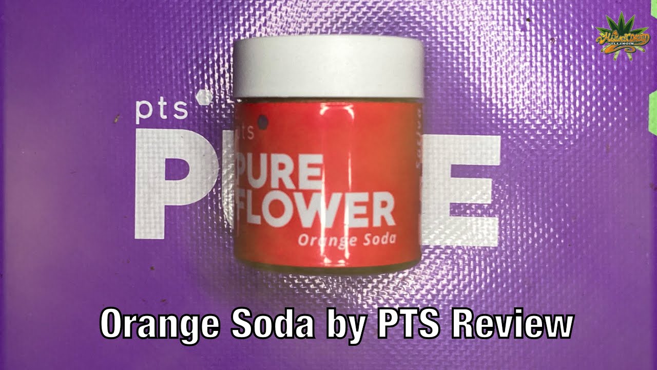 Orange Soda by PTS Review