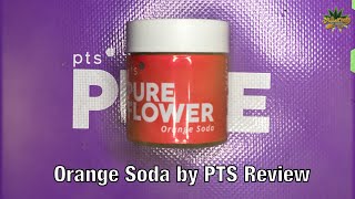 Orange Soda by PTS Review