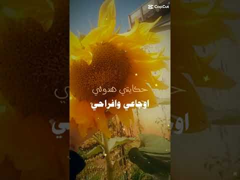 سبونج بوب يوما ما سأرحل وسترحل معي ضحكاتي ستوريات انستا حزينه بدون حقوق