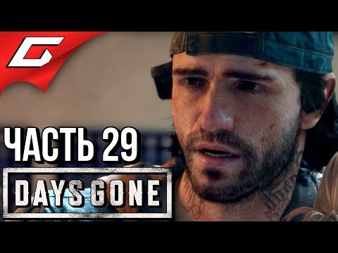 Видео: DAYS GONE (Жизнь После) ➤ Прохождение #29 ➤ ПРИЧИНЫ ЭПИДЕМИИ