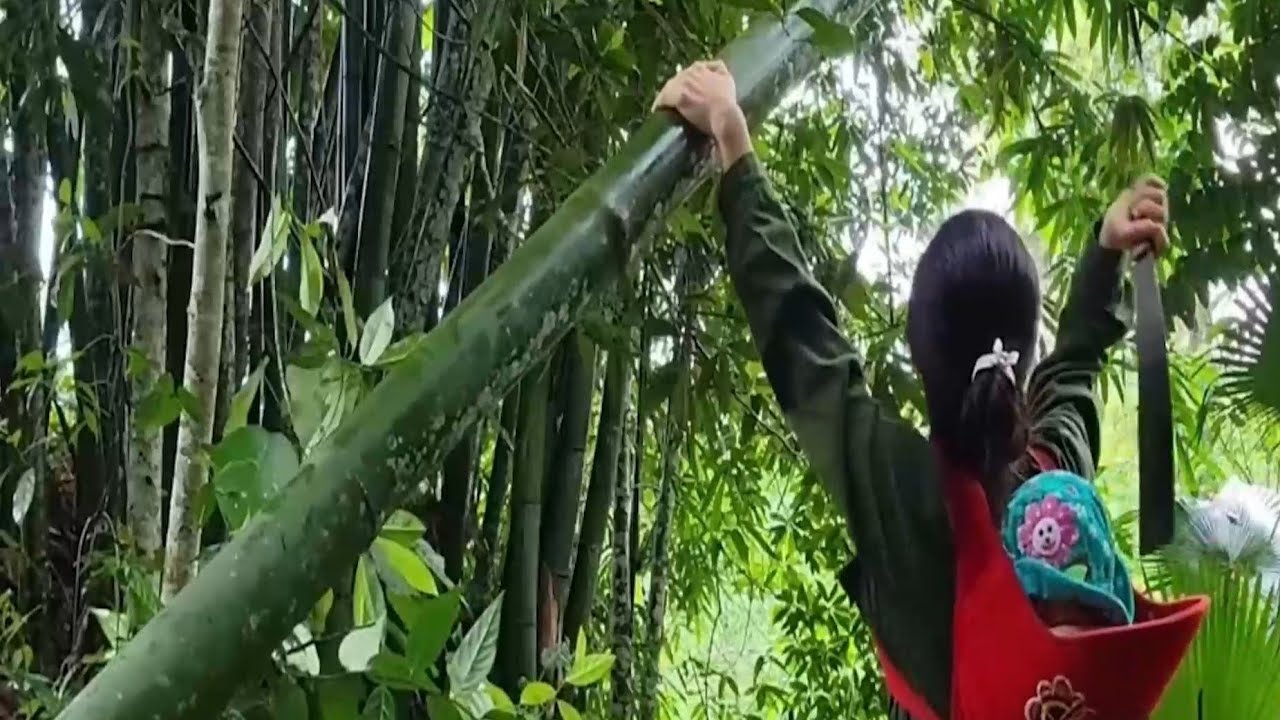 A Single Mother’s Difficult First Days | Emotional Village Life