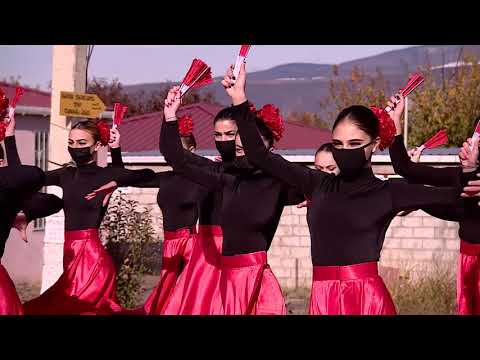 ჯგუფი წეროები #ფინალი | Amazing Crew Gives An Emotional Dance Performance - Georgia's Got Talent
