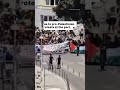Pro Palestinian Protesters Prevent Israelis From Disembarking Ferry On Greek Island Pro Palestinian Protesters Prevent Israelis From Disembarking Ferry On Greek Island
