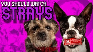 You Should Watch - Strays 2023