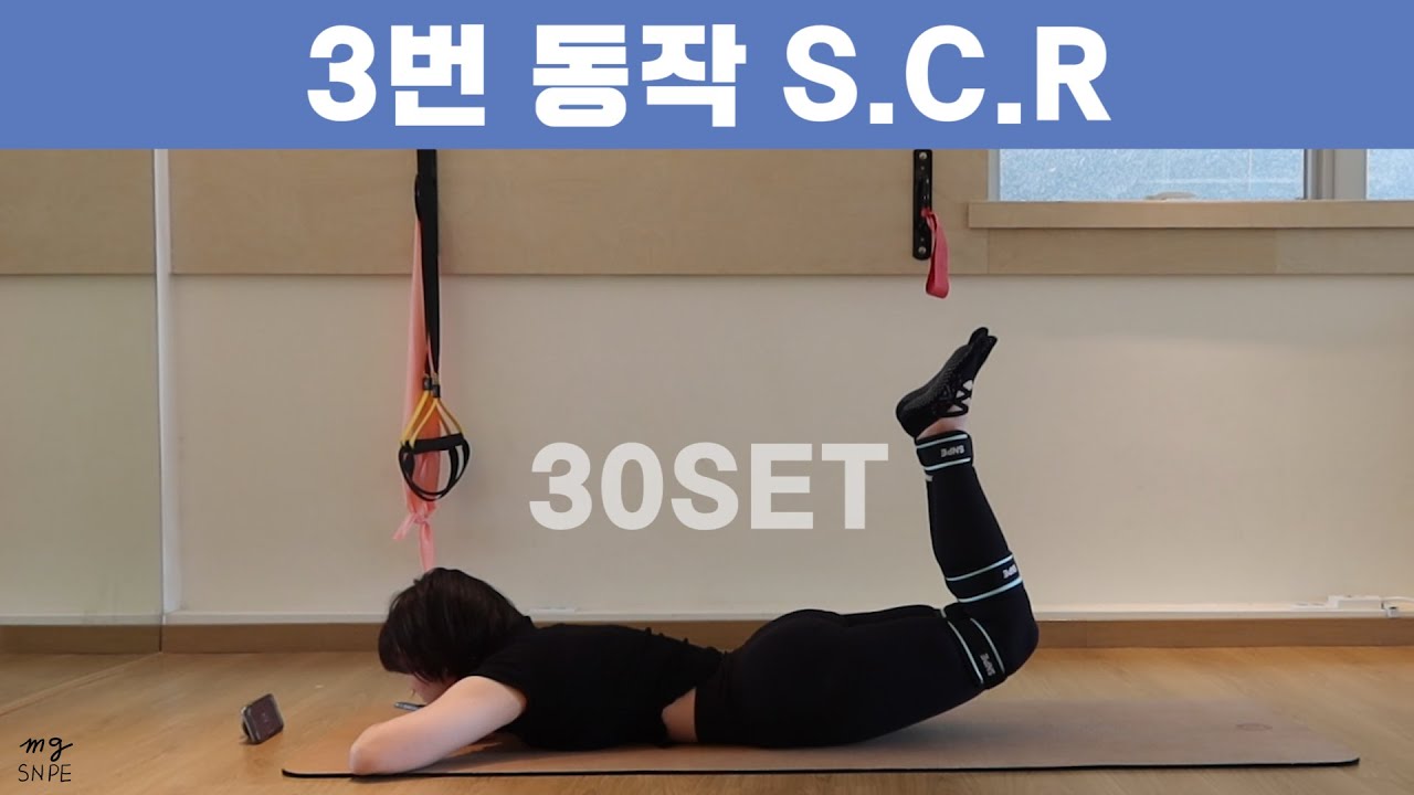 [맹쌤SNPE]  3번 동작 S.C.R 30set