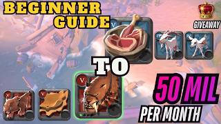 Complete Swift Claw Island Guide | Beginner Guide to Albion Online
