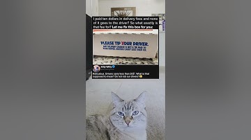 So What Is The Fee For?!