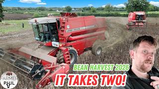 Better LATE Than NEVER! Double Combine Bean Harvest