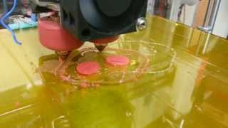 Halt - multiple extruder Bear A