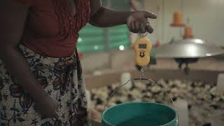 WPF Poultry Training Series: Managing for Success