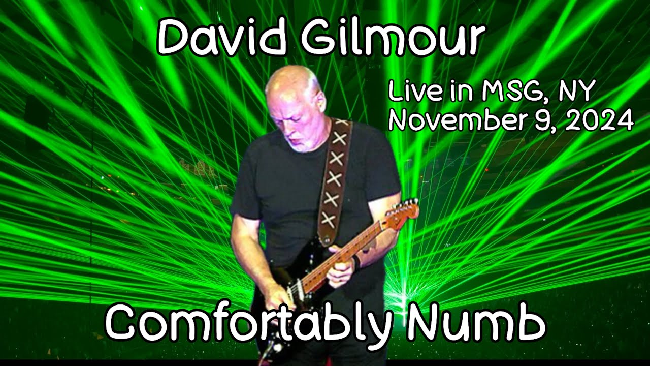 DAVID GILMOUR- Comfortably Numb . Live in Madison Square Garden