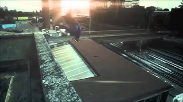 Kim Dotcom - Amazing