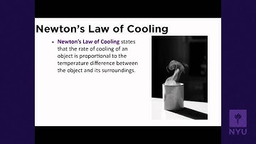 Calculus I - Exponential Growth and Decay