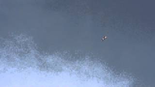 Revolution From Techone With Professional Aerodynamics And Removable Unique Wing Design