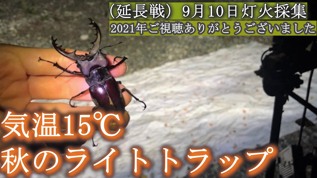 ラスト！HID屋７０ｗ　ライトトラップ　灯火採集　クワガタ　カブトムシ HIDで灯火採集ライトトラップを構築、点灯テストしてみた – クワガタ