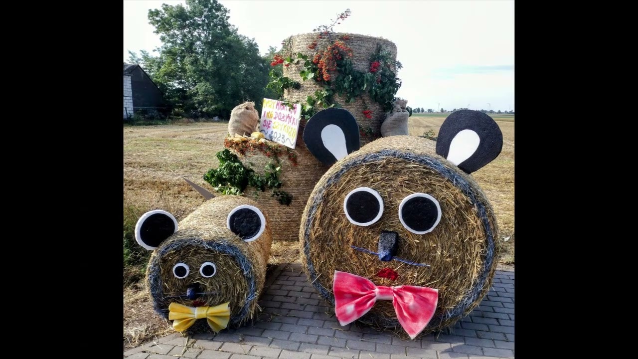 Przygotowania do dożynki parafialno gminnych Dobre(Bronisław)