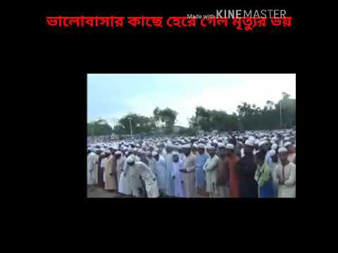 ভিডিও: প্রথম আবেগ হিসাবে মৃত্যুর ভয়