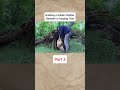 Alone in the Forest #wood #haveitoldyoulatelythatiloveyou #survival #woodworking #camp