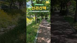신리체육공원 영상