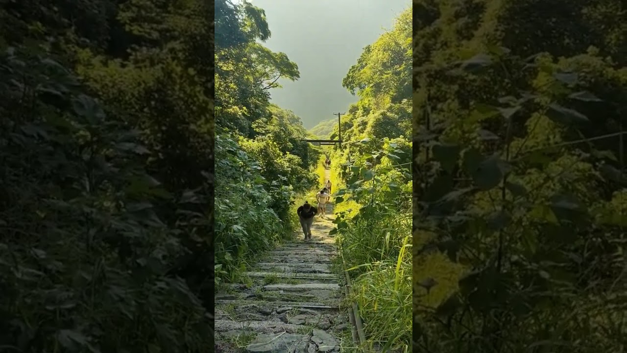 Barranca de Huentitán 