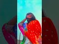 happy Holi !!