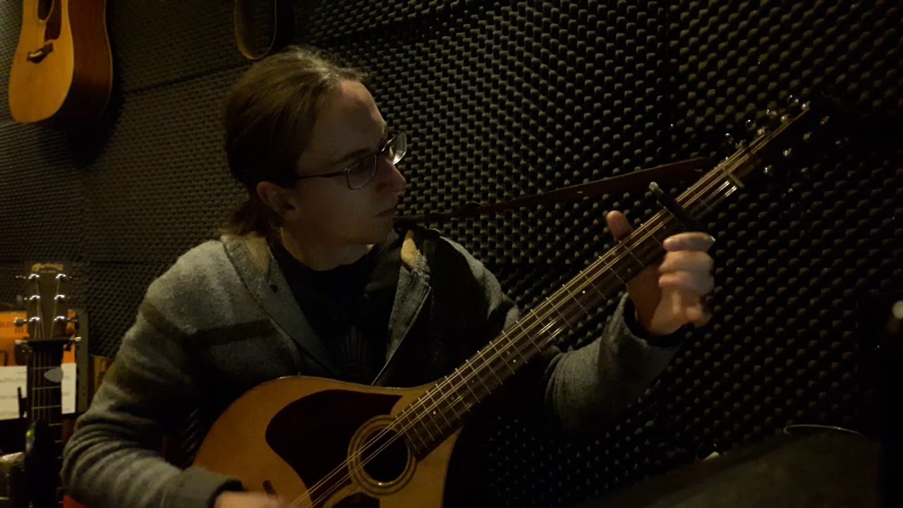 Irish bouzouki - Toss the Feathers