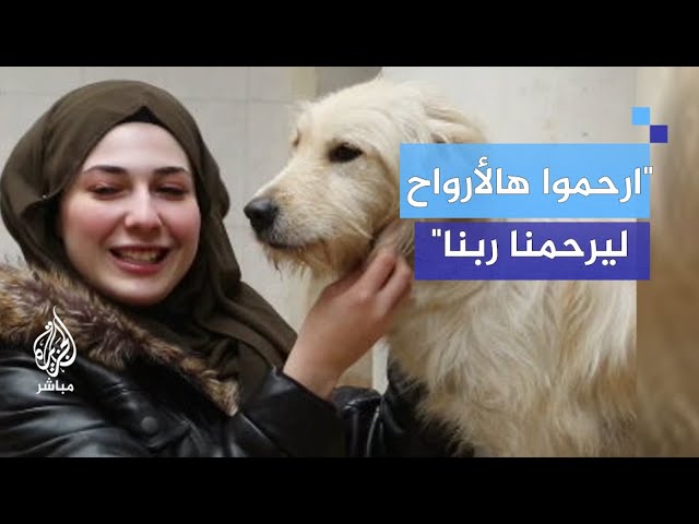 "بيت الرحمة".. جمعية سورية ترعى الحيوانات الأليفة تكافح للبقاء في حلب
