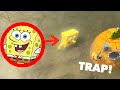 I CAPTURED SPONGEBOB IN REAL LIFE I CAPTURED SPONGEBOB IN REAL LIFE