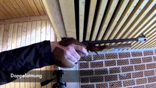 Die Freie Pistole screenshot 3