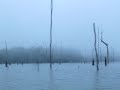 Chuva e neblina no Lago de Balbina