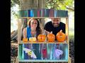 Five Little Pumpkins | Halloween Nursery Rhyme for Kids, Toddlers, and Babies by Trees of Dreams