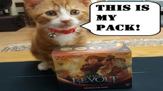 Aether Revolt Pre-release Pack Opening with Stevie the Kitten - Masterpiece Baby!!!