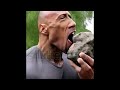 The Rock eating Rocks