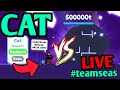 🔴LIVESTREAM until BASIC CAT breaks GIANT CHEST in Pet Simulator X #teamseas