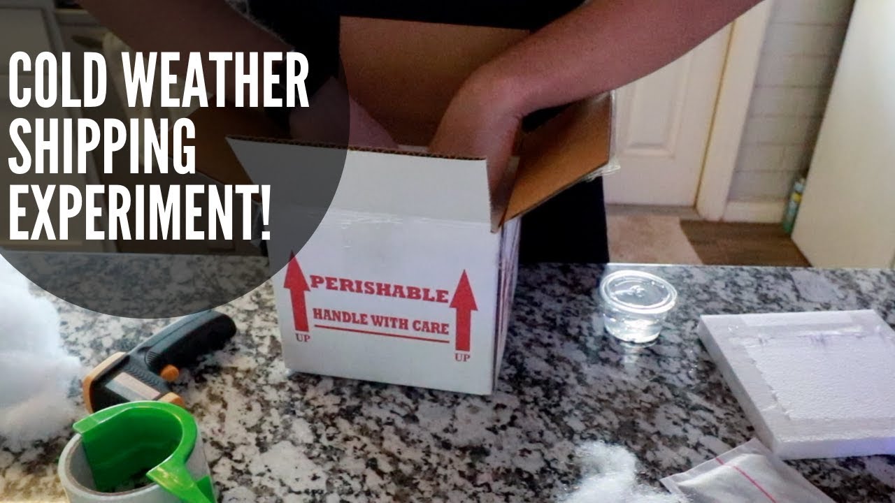 petco hours Cold Weather Snake Shipping (Experiment)