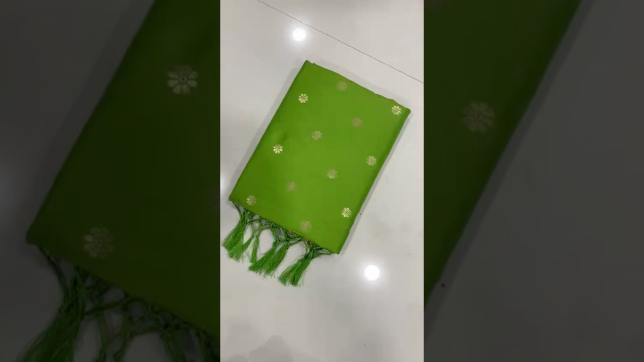 Pure Kanchipuram Paithani Silk Meenakari Saree