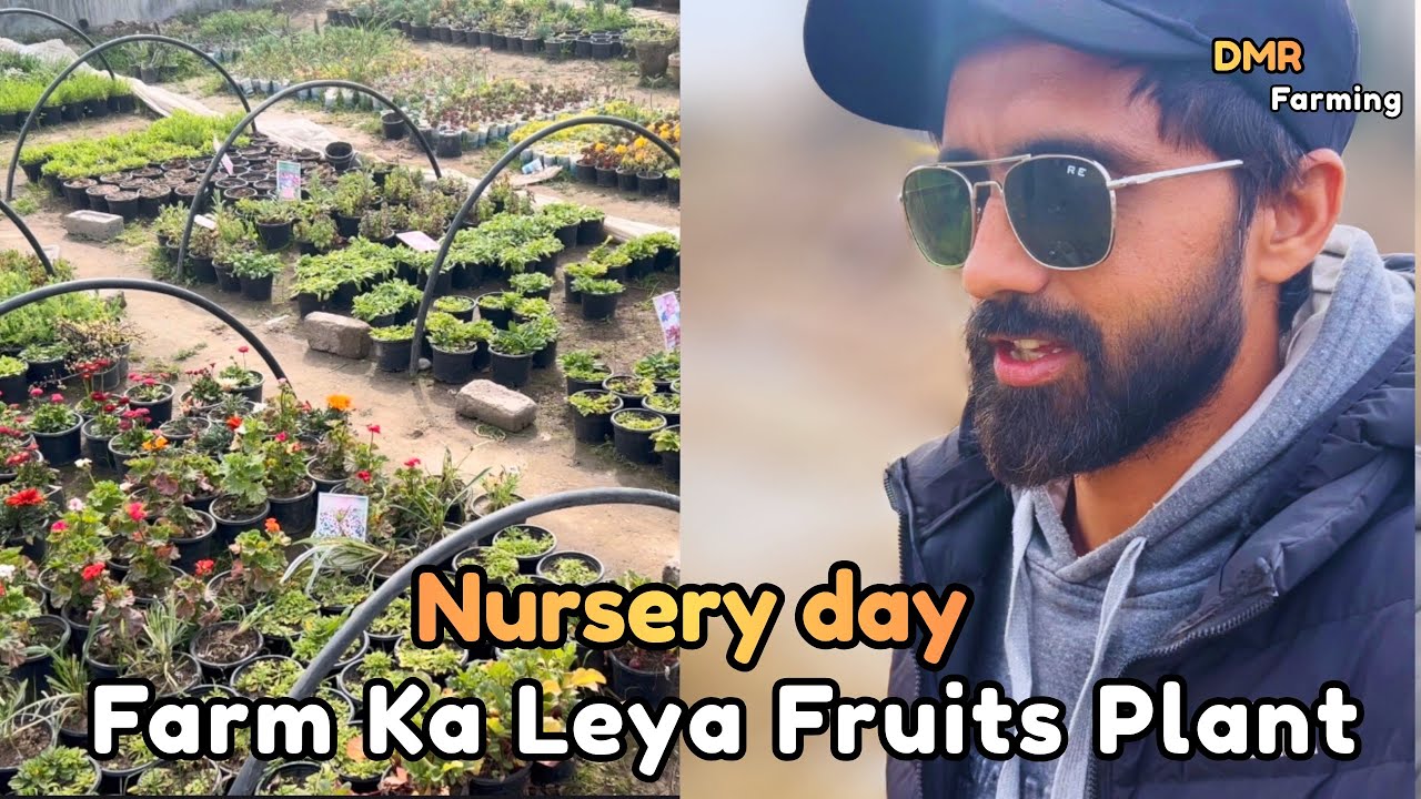Nursery Day 🌱 | Farm Ke Liye Kaun Se Best Fruits Plants Liye? | Deera Mehria Rizvia