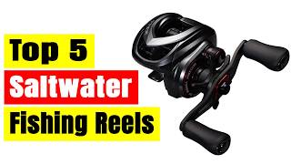 Top 5 Best Saltwater Fishing Reels in 2026 | Strong & Reliable Reels for Sea Fishing