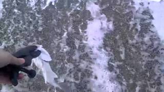 VID_20120124_132216.3gp