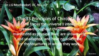 The 33 Principles of Chiropractic Part 1-The Universal Principles