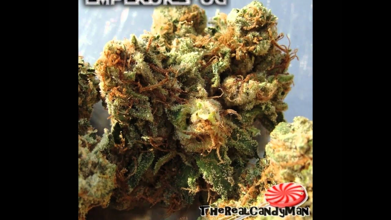 EMPEROR'S OG KUSH - From The W.E.E.D in Studio City CA - Hash Weed Marijuana - TheRealCandyMan
